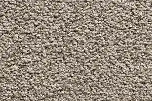 Ковровая плитка Bonkeel Pandora Broige фото  | FLOORDEALER